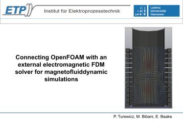 Connecting OpenFOAM with an External Electromagnetic FDM ...