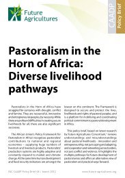 Pastoralism in the Horn of Africa: Diverse livelihood pathways