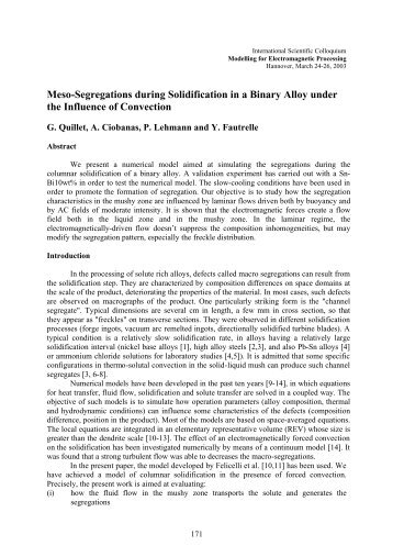 Meso-Segregations during Solidification in a Binary Alloy under the ...