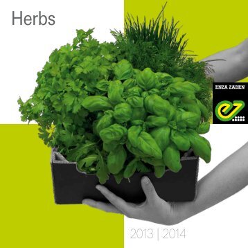 Herbs - Enza Zaden