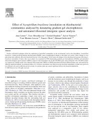 Effect of Azospirillum brasilense inoculation on rhizobacterial ...