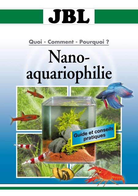 Aquariophilie : conseils, informations poissons et aquarium