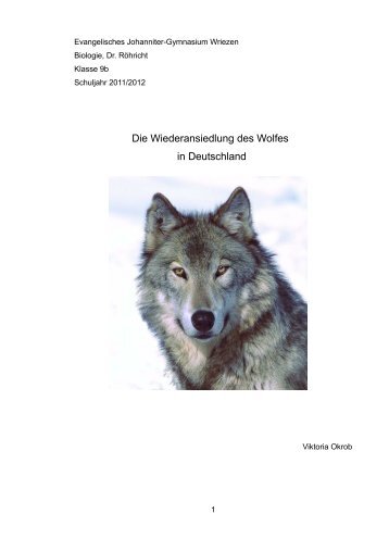 Die Wiederansiedlung des Wolfes in Deutschland - Evangelisches ...