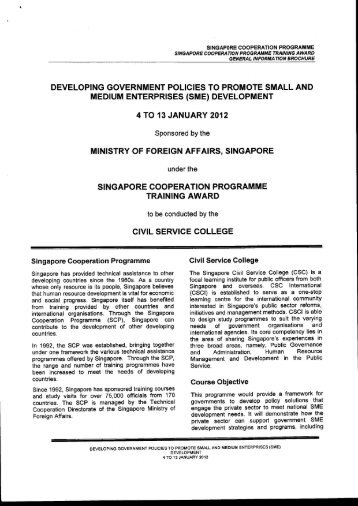 developing government policies to promote small and medium ...