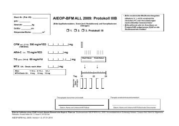 AIEOP-BFM ALL 2009: Protokoll IIIB