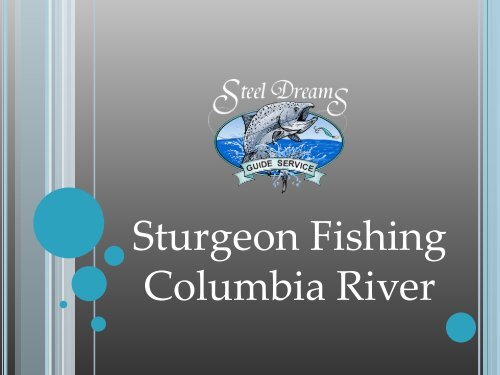 Sturgeon Fishing Columbia River