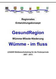 Regionales Entwicklungskonzept (1802 kb) - LAG GesundRegion ...