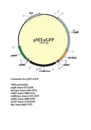 Comments for pMT-sGFP 7649 nucleotides argB: bases 675-2428 ...