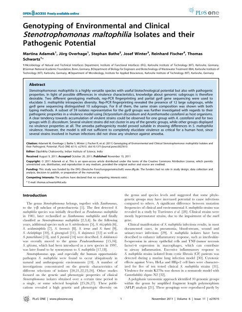 Stenotrophomonas maltophilia Isolates and their - KIT