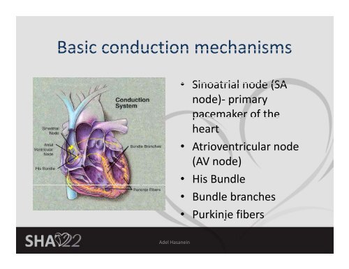 Basic ECG Interpretation - Sha-conferences.com