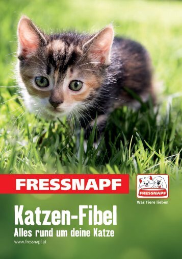 Katzen-Fibel