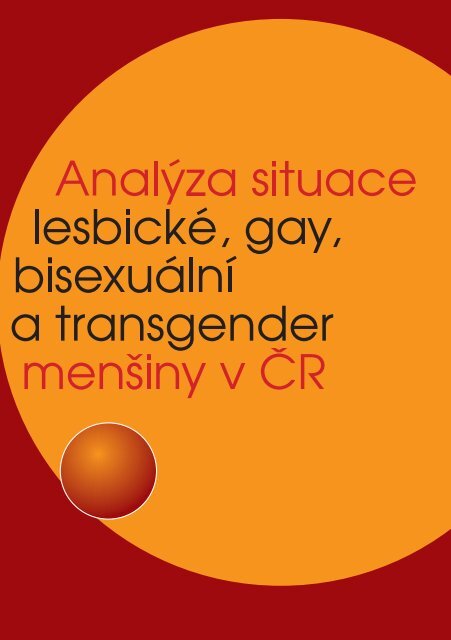 AnalÃ½za situace lesbickÃ©, gay, bisexuÃ¡lnÃ a transgender ... - VlÃ¡da ÄŒR