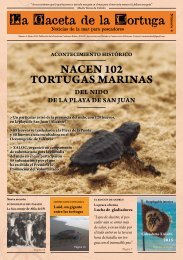 Gaceta de la Tortuga 4