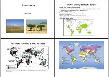 Travní biomy Travní biomy-základní dělení Rozšíření travního biomu ...