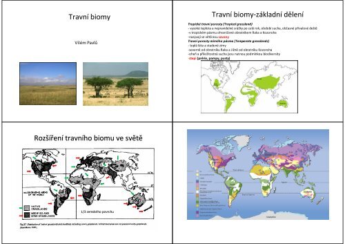 Travní biomy Travní biomy-základní dělení Rozšíření travního biomu ...