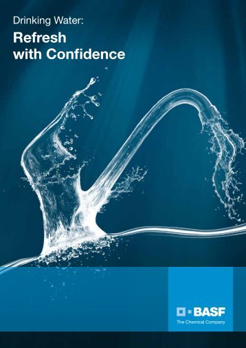 Brochure - the Performance Chemicals division - BASF.com
