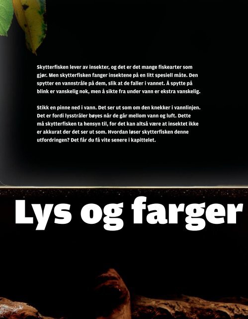 Hvorfor er ikke hvitt en farge? Hvorfor blir ... - Cappelen Damm