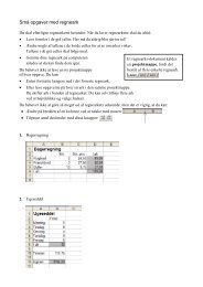SmÃ¥ opgaver med regneark.pdf