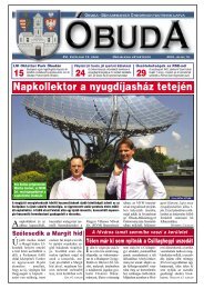 Napkollektor a nyugdíjasház tetején - Óbuda-Békásmegyer