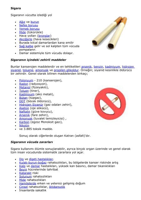 Sigara Sigarana N Va Cutta Izlediaÿi Yol Aaÿa Z Ve Burun Nefes Borusu