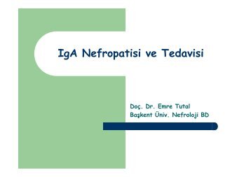 IgA Nefropatisi ve Tedavisi