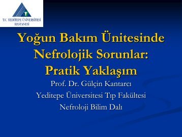 YoÄun BakÄ±m Ãnitesinde Nefrolojik Sorunlar: Pratik YaklaÅÄ±m