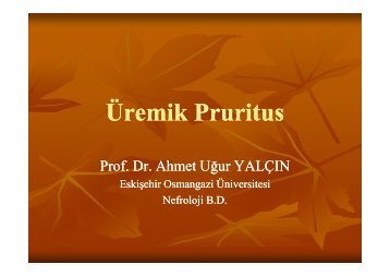 Ãremik Pruritus