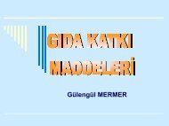 gÄ±da katkÄ± maddeleri