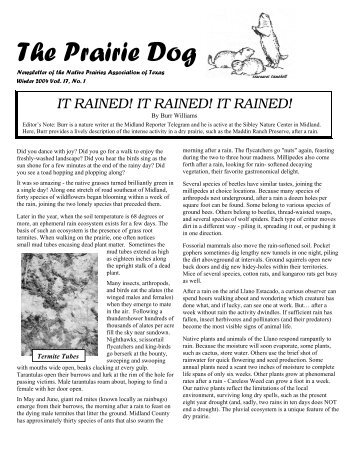 The Prairie Dog 2004 Winter.pdf - Native Prairies Association of Texas