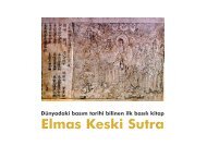 Elmas Keski Sutra - solak kedi