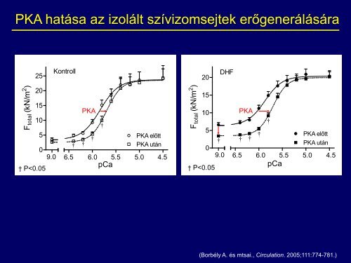 F - Debreceni Egyetem