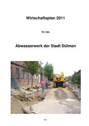 Wirtschaftsplan 2011 - Dülmen