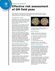 Effective risk assessment of GM field peas - kurt-schweizer.ch