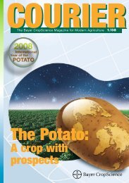 Potatoesâ¦ - Bayer CropScience