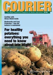 For healthy potatoes - Bayer CropScience