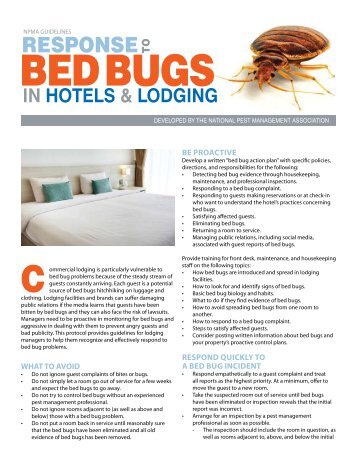 Response To Bed Bugs In Hotels - Rodent Removal Chicago