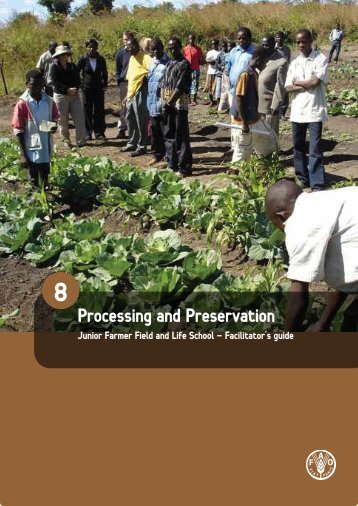 Processing and Preservation - Food, Agriculture & Decent Work