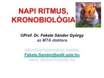 Napi_Ritmus_M_2010-pdf - Dietvet-Holistic BevezetÃ©s