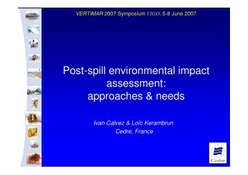 Post-spill environmental impact assessment: approaches & needs