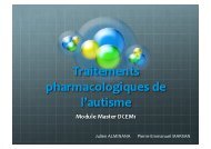 Julien ALMINANA Pierre-âEmmanuel MARSAN - CRN2M