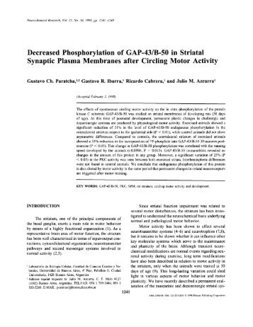 Decreased Phosphorylation of GAP-43/B-50 in ... - IngentaConnect