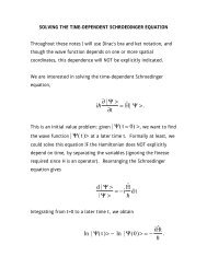 Solving the Time-Dependent Schroedinger Equation - Chemistry