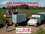 USA Raspberry Industry: Trends & Opportunities - Washington Red ...