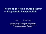 The Mode of Action of Azadirachtin