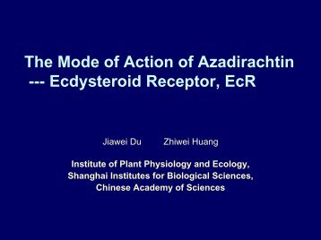 The Mode of Action of Azadirachtin