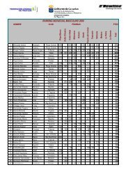 RANKING INDIVIDUAL MASCULINO 2008 - fecantri