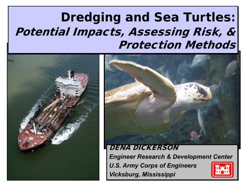 Dredging impacts on sea turtles in the southeastern ... - PIANC USA