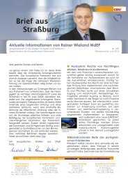 Brief aus Straßburg - Juni 2013 - Rainer Wieland MdEP