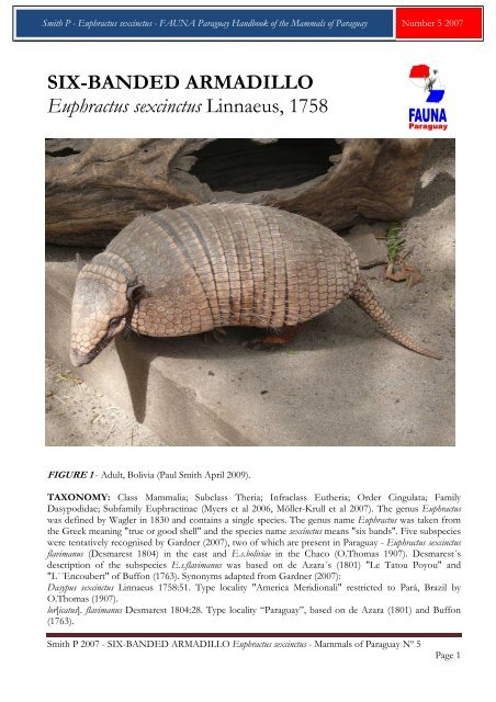 Smith P 2007 - FAUNA Paraguay Handbook of the