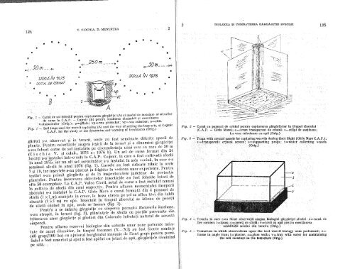 anale sfecla 8.pdf - Institutul National de Cercetare Dezvoltare ...